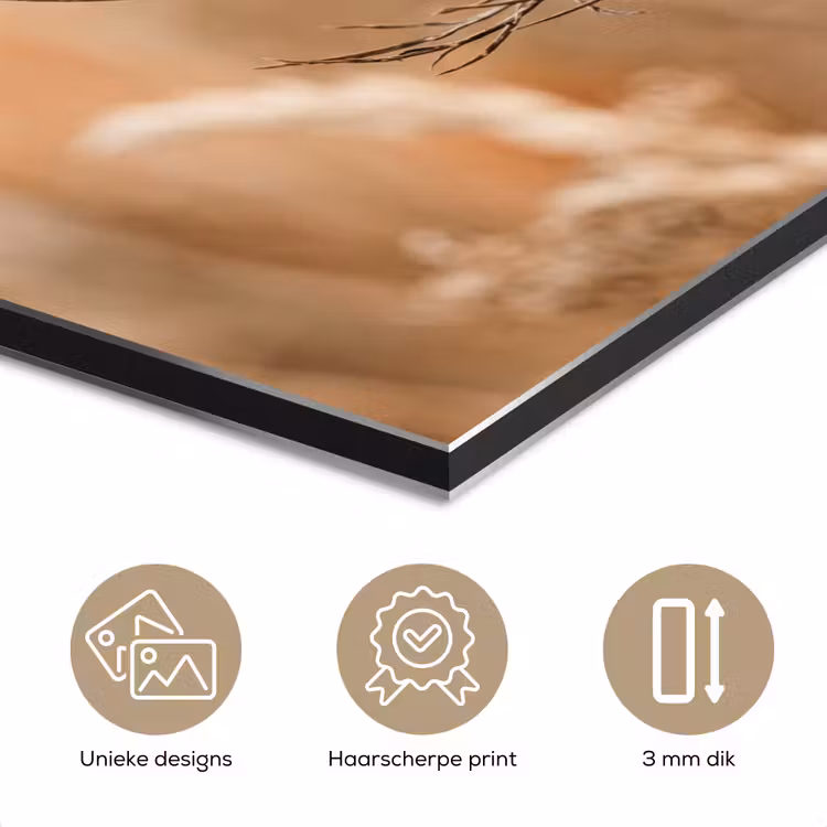 Schermbloem - Droogbloem - Winter - Beige - Minimalistisch aluminium wit klein -closeup_NL