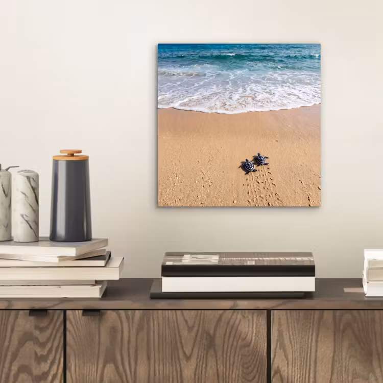Schildpad - Jong - Strand - Oceaan - Blauw aluminium wit klein -sfeer1