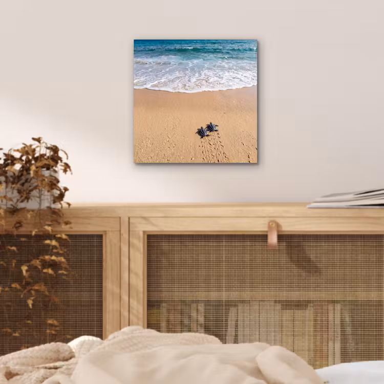 Schildpad - Jong - Strand - Oceaan - Blauw aluminium wit klein -sfeer3