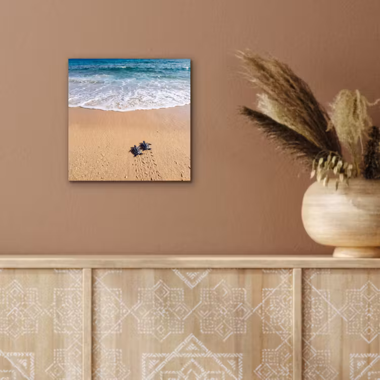 Schildpad - Jong - Strand - Oceaan - Blauw aluminium wit klein -sfeer4