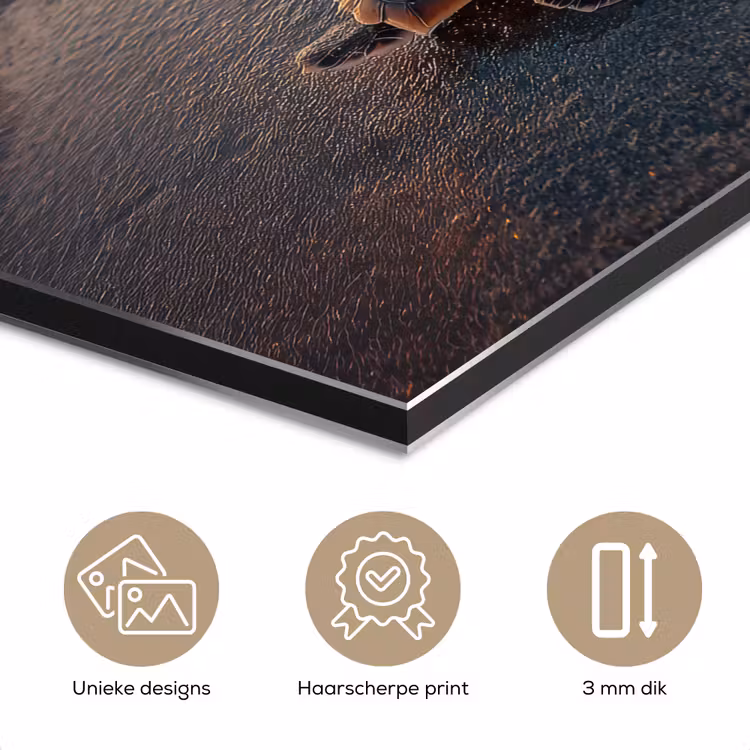 Schildpad - strand - Zonsondergang aluminium wit klein -closeup_NL