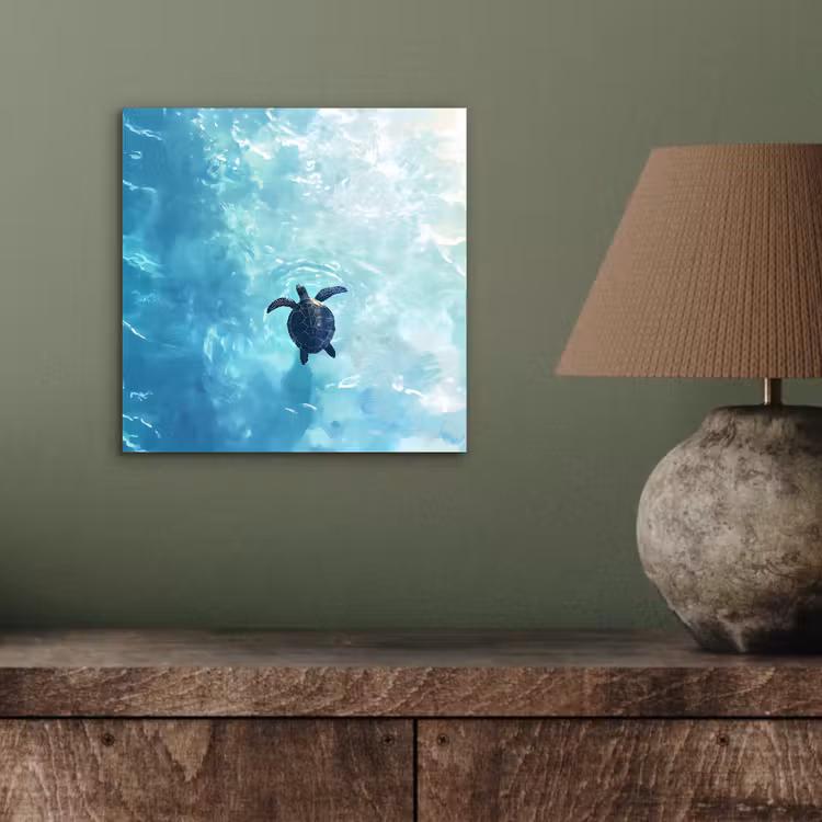 Schildpad - Zee - Blauw - Schittering aluminium wit klein -sfeer2