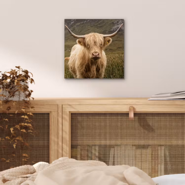 Schotse hooglander - Bergen - Grasveld aluminium wit klein -sfeer3