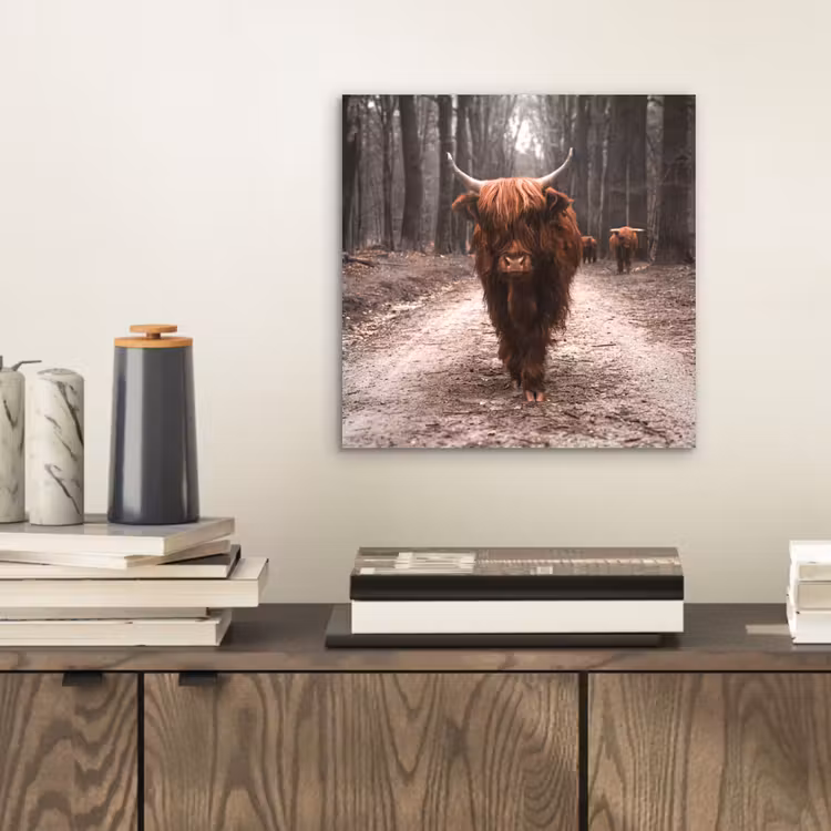 Schotse hooglander - Bos - Koe - Dieren - Natuur aluminium wit klein -sfeer1