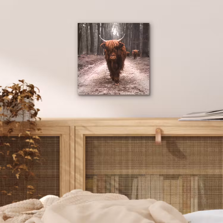 Schotse hooglander - Bos - Koe - Dieren - Natuur aluminium wit klein -sfeer3