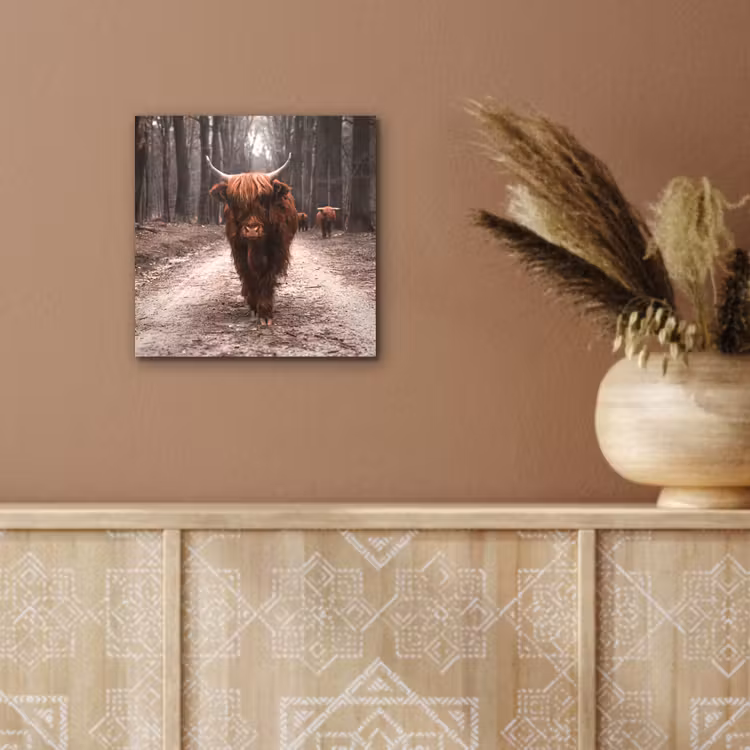 Schotse hooglander - Bos - Koe - Dieren - Natuur aluminium wit klein -sfeer4
