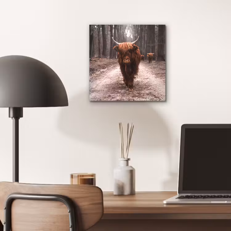 Schotse hooglander - Bos - Koe - Dieren - Natuur aluminium wit klein -sfeer5