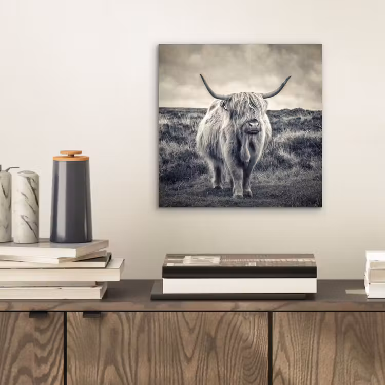 Schotse hooglander - Dieren - Wolken - Koe - Natuur aluminium wit klein -sfeer1