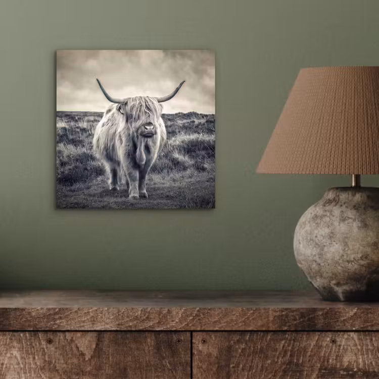 Schotse hooglander - Dieren - Wolken - Koe - Natuur aluminium wit klein -sfeer2