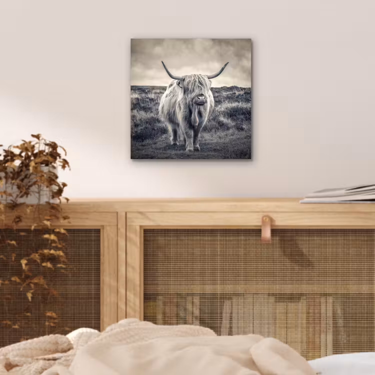 Schotse hooglander - Dieren - Wolken - Koe - Natuur aluminium wit klein -sfeer3