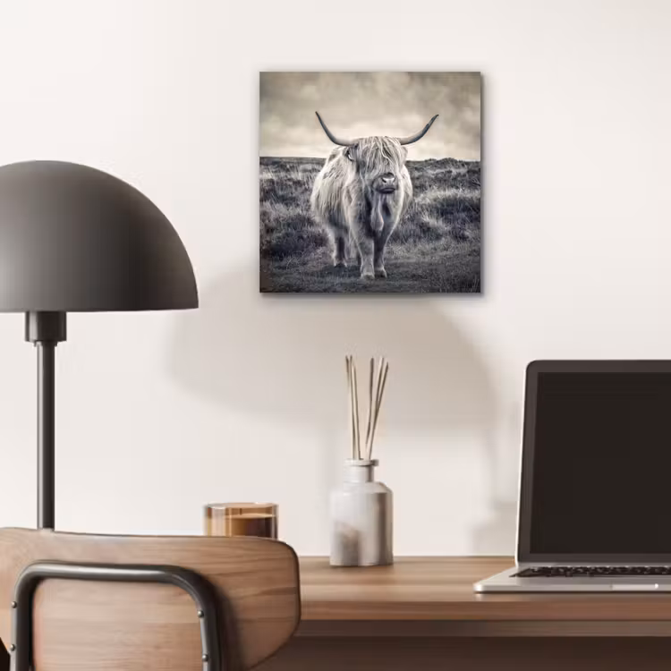 Schotse hooglander - Dieren - Wolken - Koe - Natuur aluminium wit klein -sfeer5