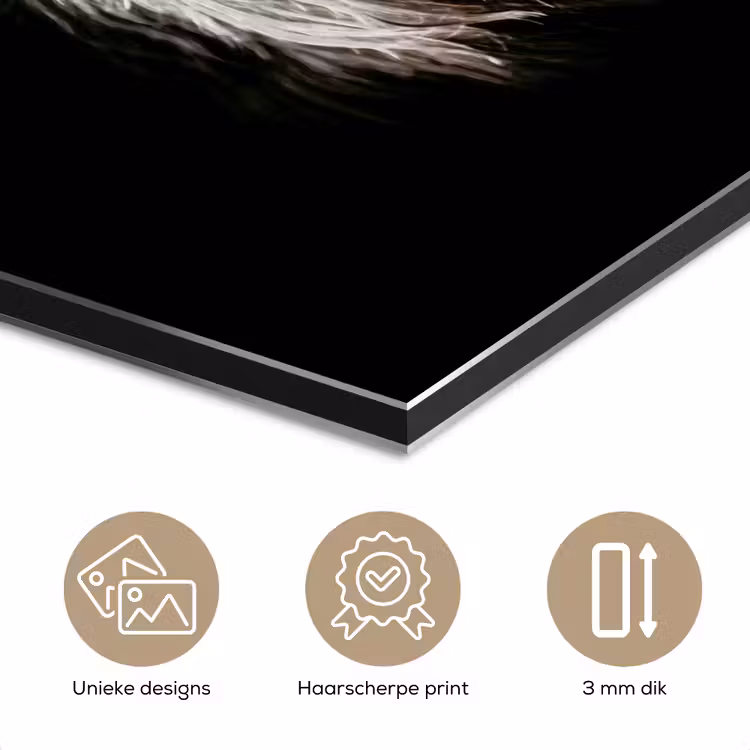 Schotse hooglander - Goud - Hoorns - Zwart wit - Koe - Dieren aluminium wit klein -closeup_NL