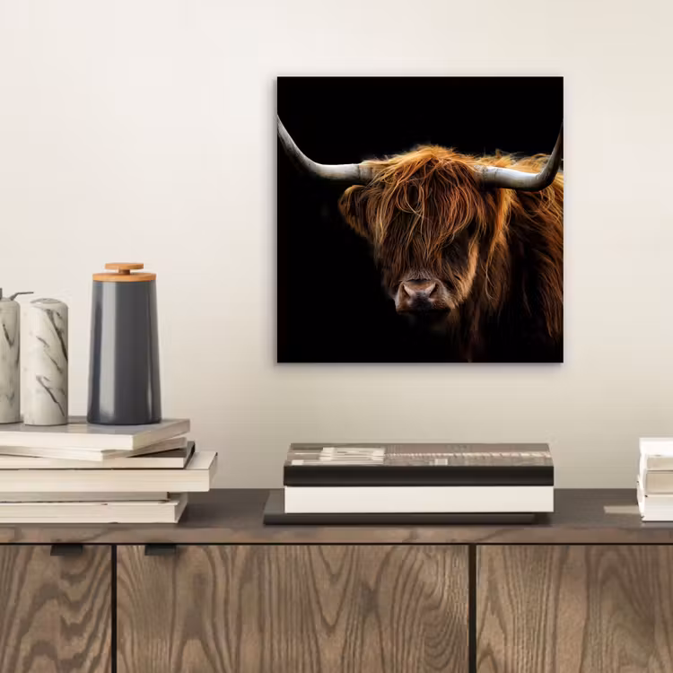 Schotse Hooglander - Horens - Zwart - Dieren - Natuur - Wild - Koe aluminium wit klein -sfeer1
