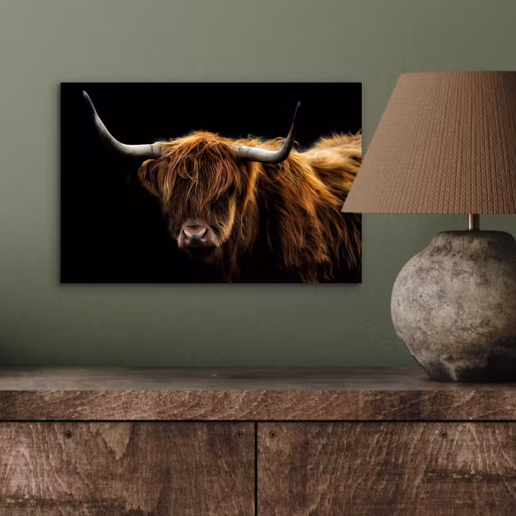 Schotse Hooglander - Horens - Zwart - Dieren - Natuur - Wild - Koe aluminium wit klein -sfeer2