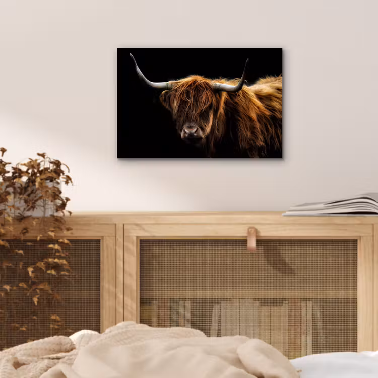 Schotse Hooglander - Horens - Zwart - Dieren - Natuur - Wild - Koe aluminium wit klein -sfeer3