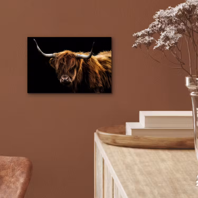 Schotse Hooglander - Horens - Zwart - Dieren - Natuur - Wild - Koe aluminium wit klein -sfeer4