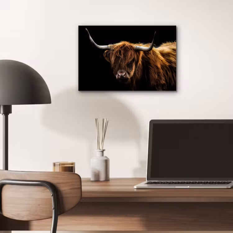 Schotse Hooglander - Horens - Zwart - Dieren - Natuur - Wild - Koe aluminium wit klein -sfeer5