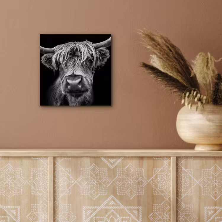 Schotse Hooglander - Horens - Zwart - Wit - Koe - Wild - Dieren aluminium wit klein -sfeer4
