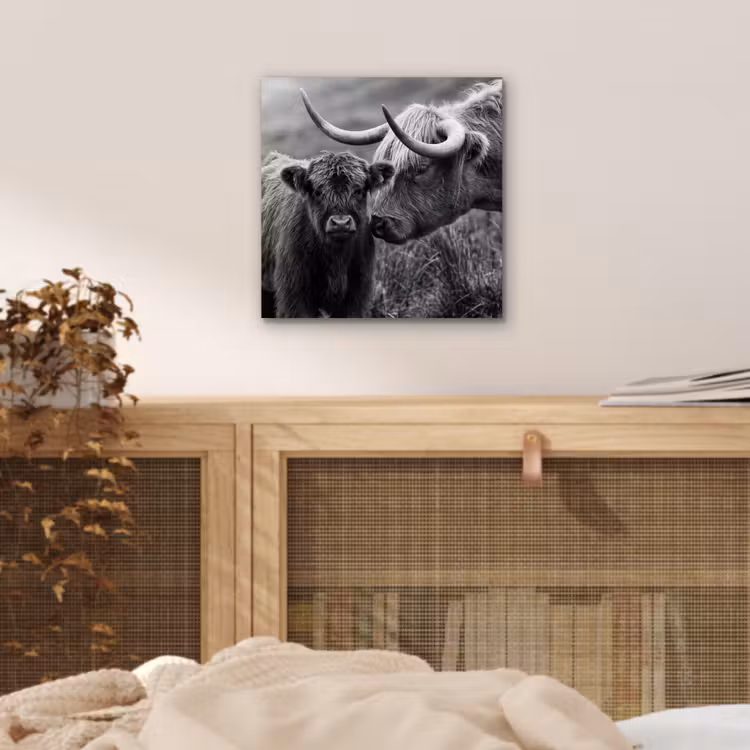 Schotse hooglander - Kalf - Zwart - Wit aluminium wit klein -sfeer3