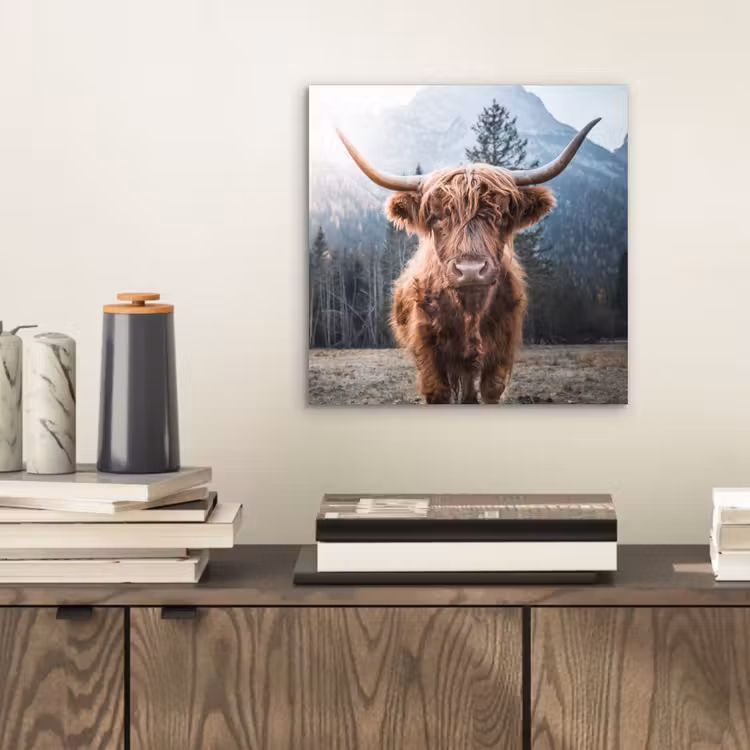 Schotse hooglander - Koe - Dieren - Berg - Natuur aluminium wit klein -sfeer1
