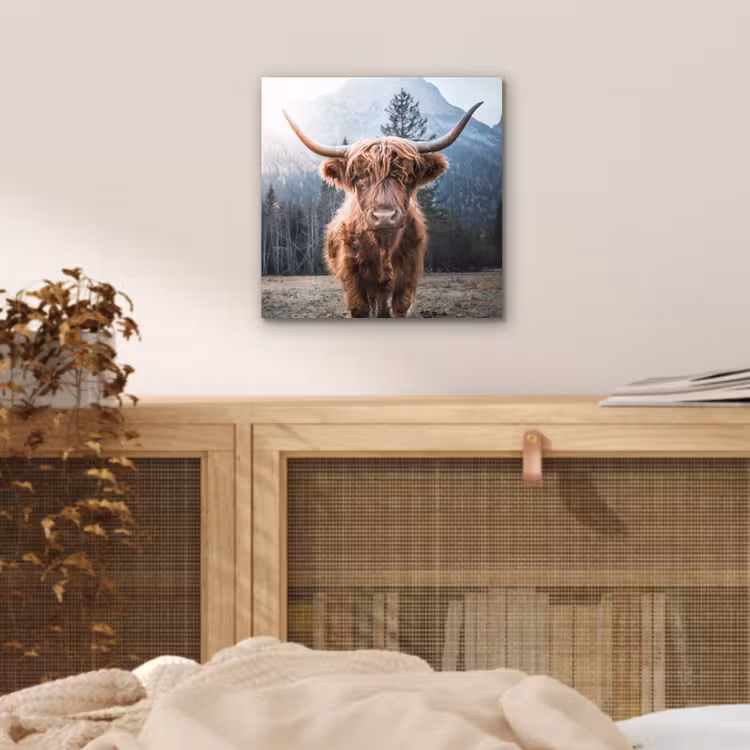 Schotse hooglander - Koe - Dieren - Berg - Natuur aluminium wit klein -sfeer3