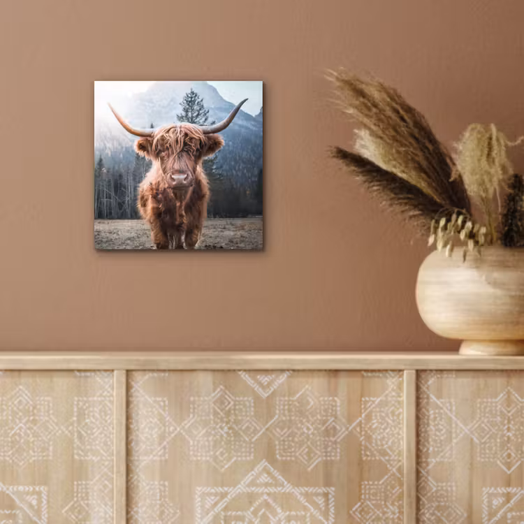 Schotse hooglander - Koe - Dieren - Berg - Natuur aluminium wit klein -sfeer4