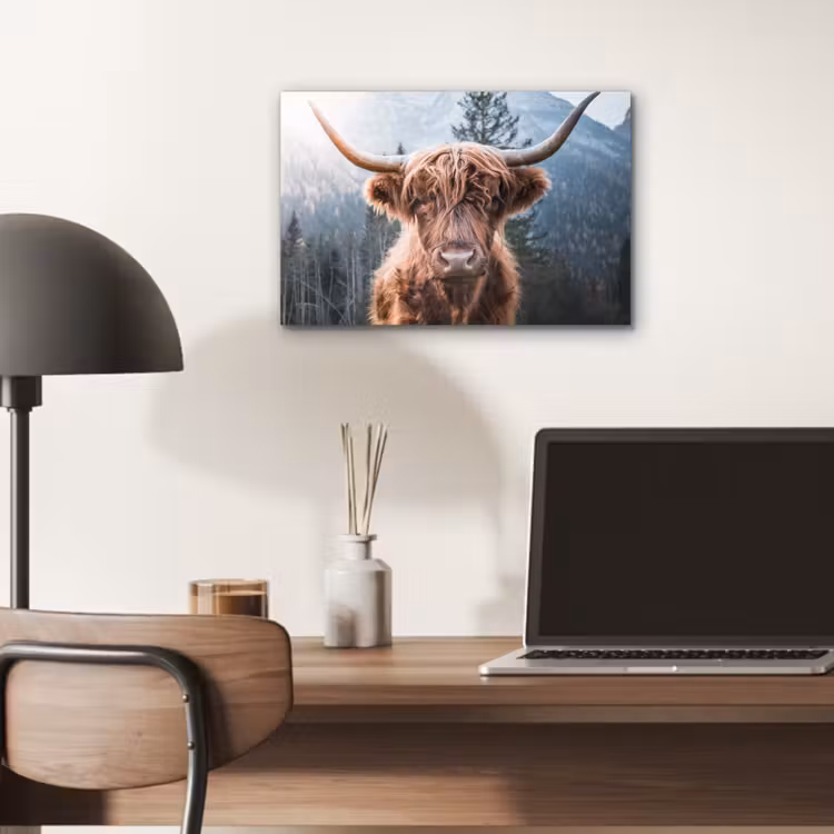 Schotse hooglander - Koe - Dieren - Berg - Natuur aluminium wit klein -sfeer5