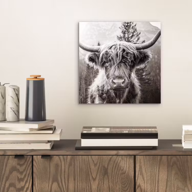 Schotse hooglander - Koe - Dieren - Zwart - Wit aluminium wit klein -sfeer1
