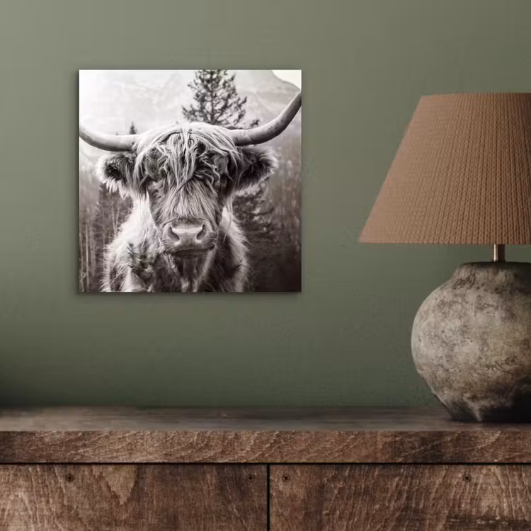 Schotse hooglander - Koe - Dieren - Zwart - Wit aluminium wit klein -sfeer2