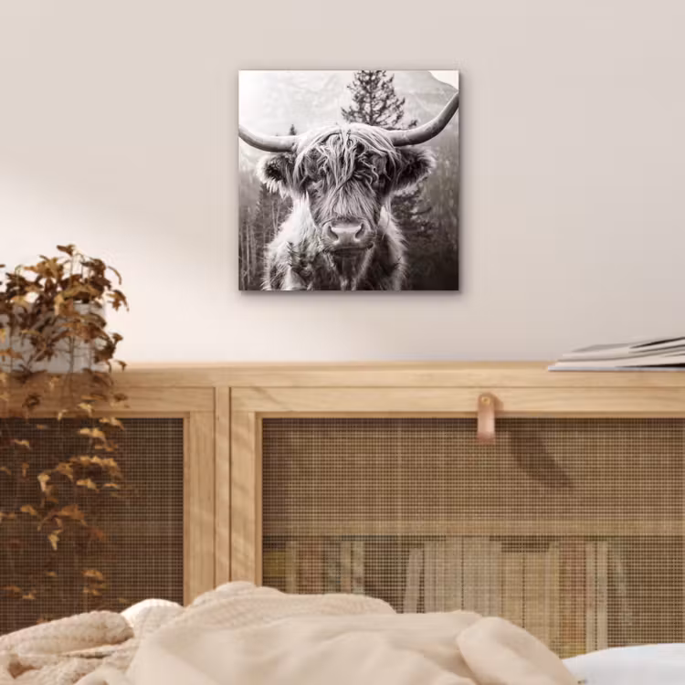 Schotse hooglander - Koe - Dieren - Zwart - Wit aluminium wit klein -sfeer3