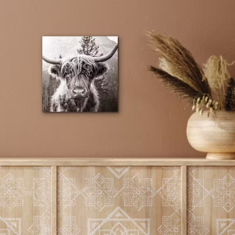 Schotse hooglander - Koe - Dieren - Zwart - Wit aluminium wit klein -sfeer4