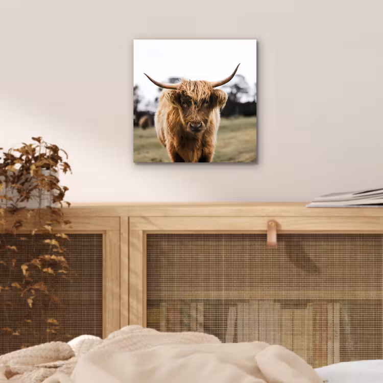 Schotse Hooglander -  Koe - Gras - Dieren - Natuur aluminium wit klein -sfeer3