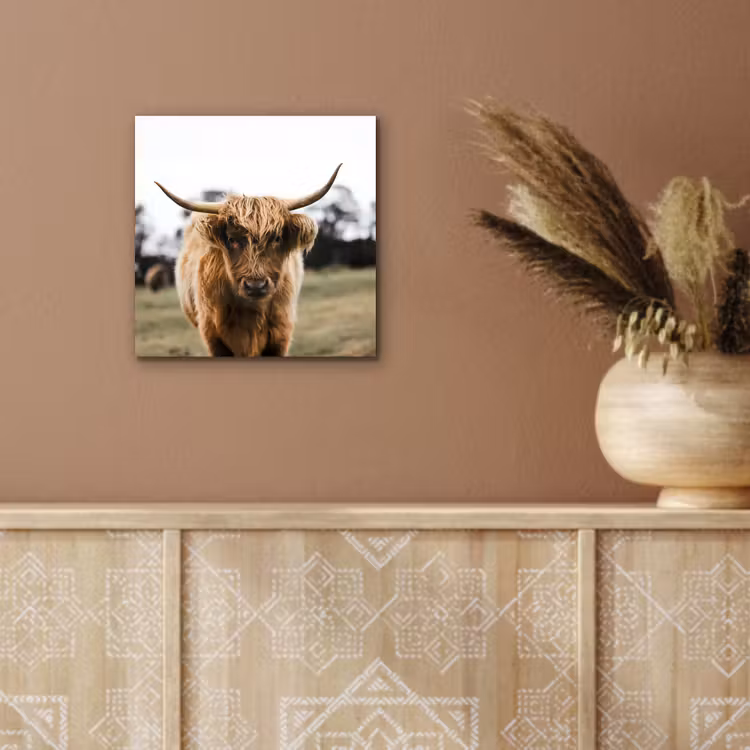 Schotse Hooglander -  Koe - Gras - Dieren - Natuur aluminium wit klein -sfeer4