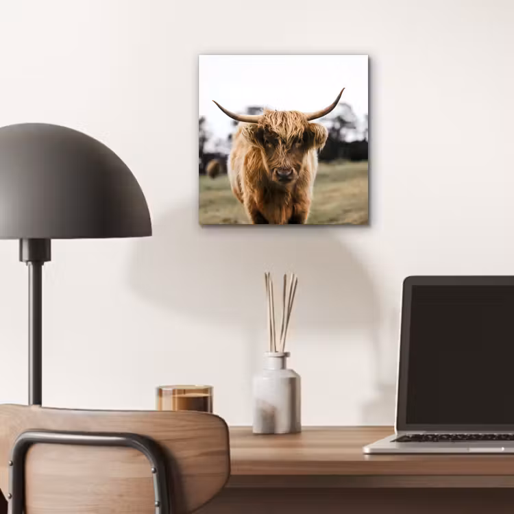 Schotse Hooglander -  Koe - Gras - Dieren - Natuur aluminium wit klein -sfeer5