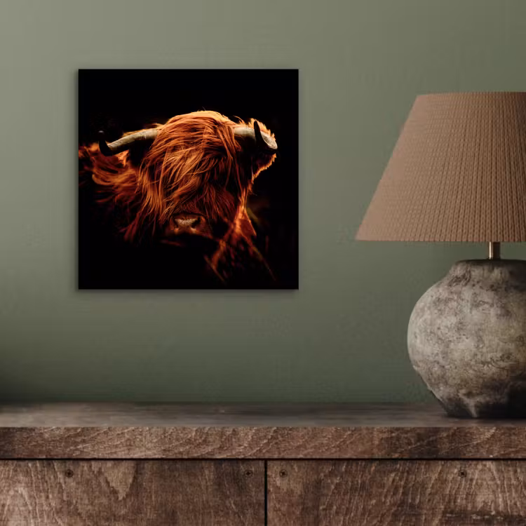 Schotse hooglander - Koe - Hoorns - Portret - Dieren aluminium wit klein -sfeer2