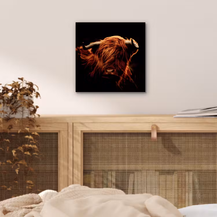 Schotse hooglander - Koe - Hoorns - Portret - Dieren aluminium wit klein -sfeer3