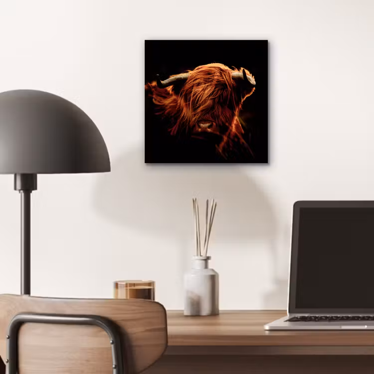 Schotse hooglander - Koe - Hoorns - Portret - Dieren aluminium wit klein -sfeer5