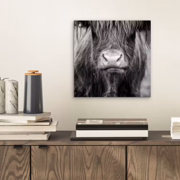 Schotse hooglander - Koe - Zwart - Wit - Dieren aluminium wit klein -sfeer1