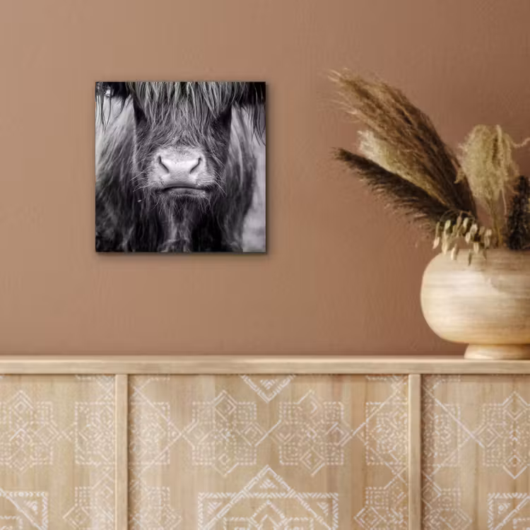 Schotse hooglander - Koe - Zwart - Wit - Dieren aluminium wit klein -sfeer4