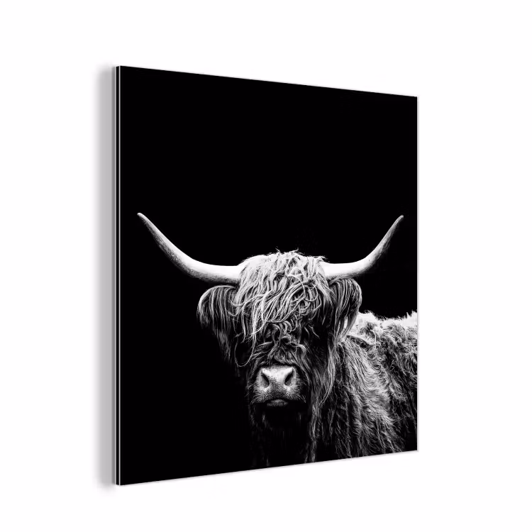 Schotse Hooglander - Koe - Zwart - Wit - Dieren aluminium wit klein -3d