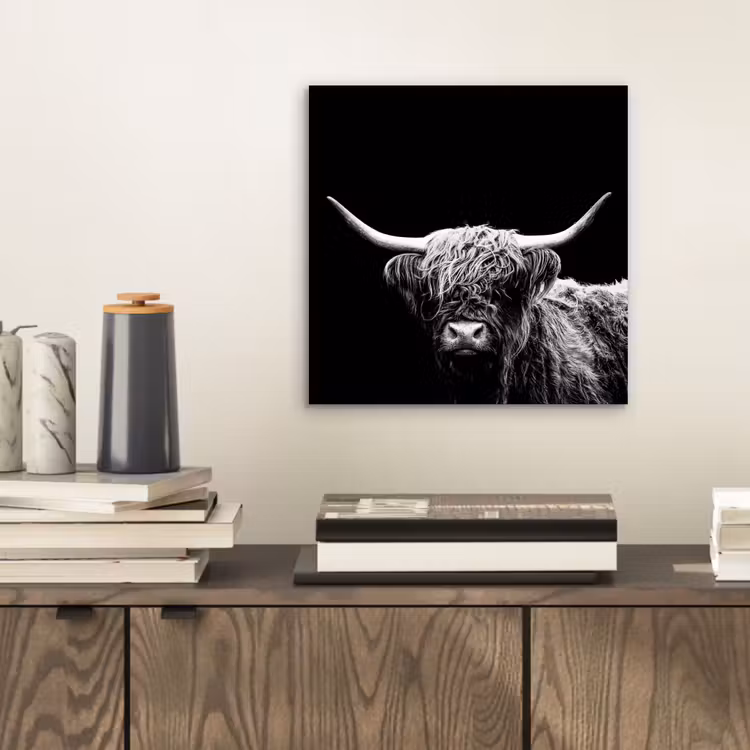 Schotse Hooglander - Koe - Zwart - Wit - Dieren aluminium wit klein -sfeer1