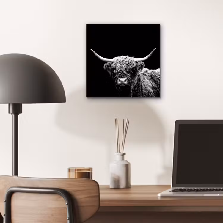 Schotse Hooglander - Koe - Zwart - Wit - Dieren aluminium wit klein -sfeer5