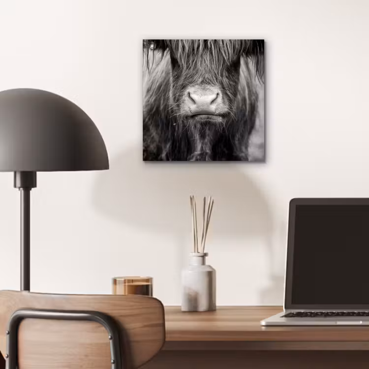 Schotse hooglander - Koe - Zwart - Wit - Dieren aluminium wit klein -sfeer5