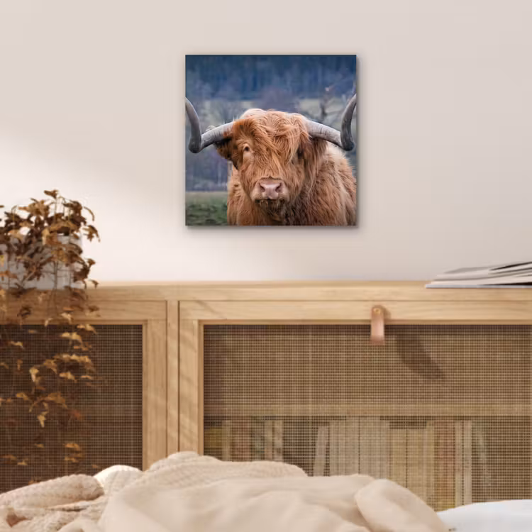 Schotse Hooglander - Koeienkop - Landschap - Natuur - Koe aluminium wit klein -sfeer3