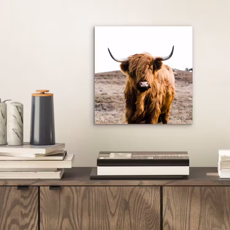 Schotse hooglander - Landschap - Koe - Bruin - Dieren - Natuur aluminium wit klein -sfeer1