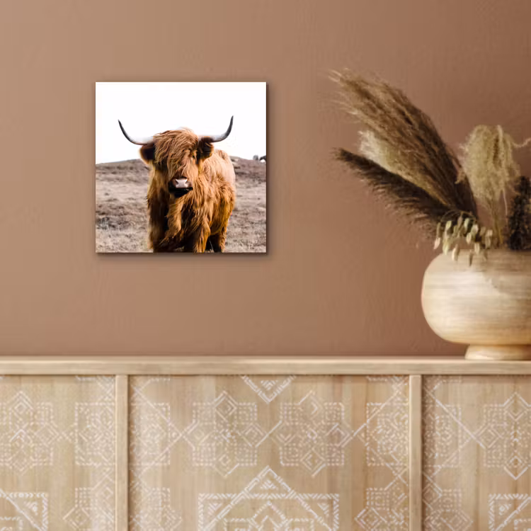 Schotse hooglander - Landschap - Koe - Bruin - Dieren - Natuur aluminium wit klein -sfeer4