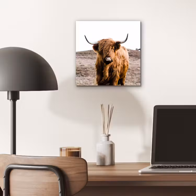 Schotse hooglander - Landschap - Koe - Bruin - Dieren - Natuur aluminium wit klein -sfeer5