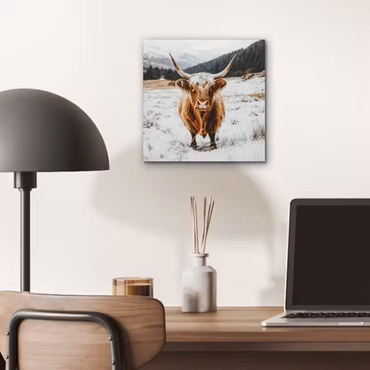 Schotse Hooglander - Landschap - Sneeuw - Bergen - Winter aluminium wit klein -sfeer5
