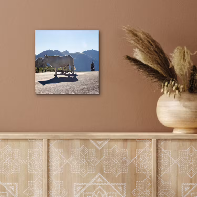 Schotse hooglander - Licht - Berg - Natuur aluminium wit klein -sfeer4