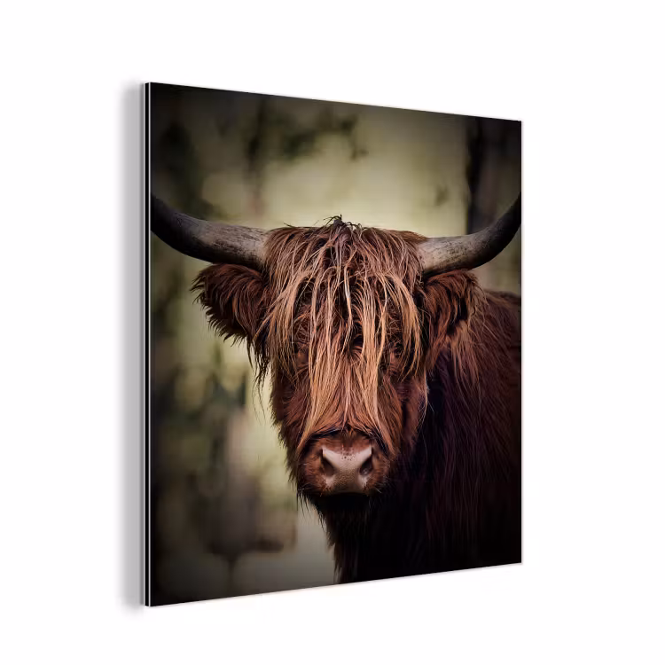 Schotse hooglander - Licht - Portret - Natuur aluminium wit klein -3d